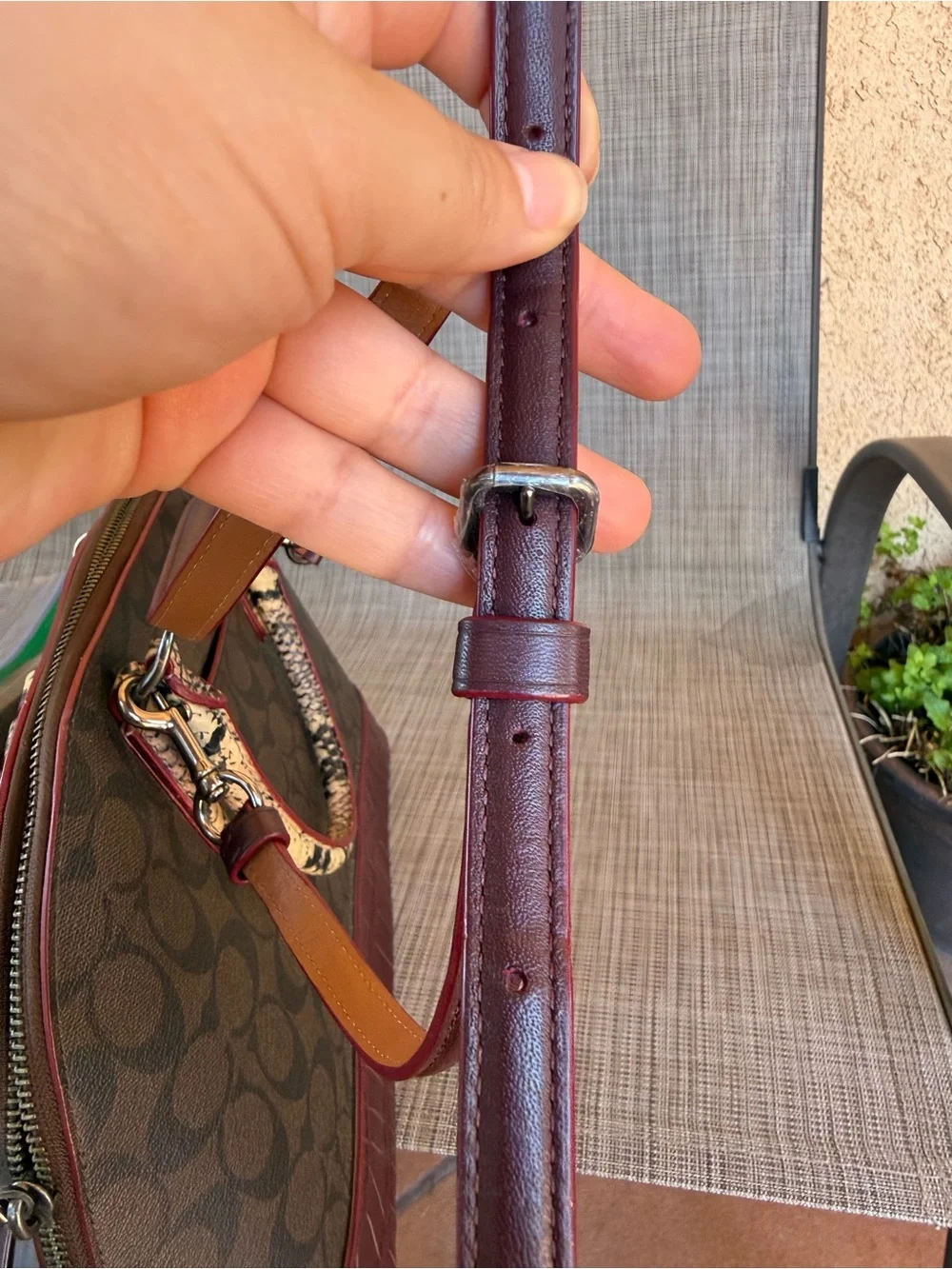 Coach signature sierra